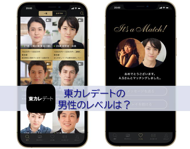 東カレデートの男性のレベル